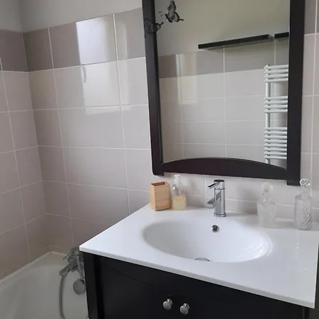 Des Pins Holiday home Aureilhan (Landes)